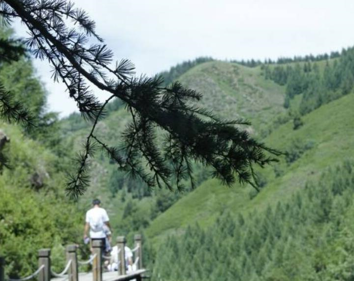 为一场音乐节 去一次露营【乌兰察布露营· 文化音乐节】(图5)