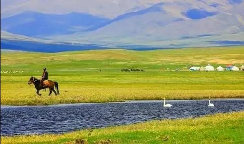 新疆独库公路将于6月5日正式开放通行!中国最美、最险峻的英雄公路,即将涌来大批人马!(图9) 新疆独库公路将于6月5日正式开放通行!中国最美、最险峻的英雄公路,即将涌来大批人马!(图9)