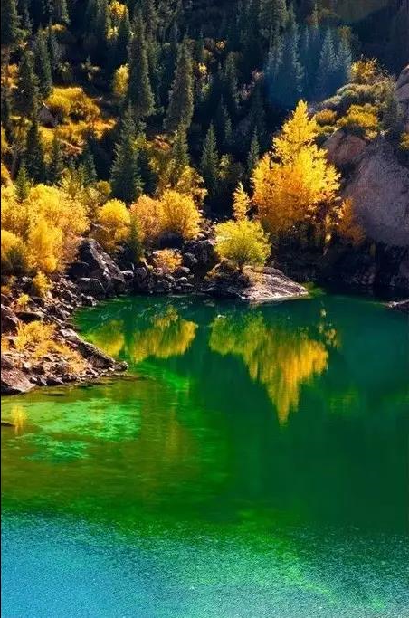 新疆独库公路将于6月5日正式开放通行!中国最美、最险峻的英雄公路,即将涌来大批人马!(图12) 新疆独库公路将于6月5日正式开放通行!中国最美、最险峻的英雄公路,即将涌来大批人马!(图12)