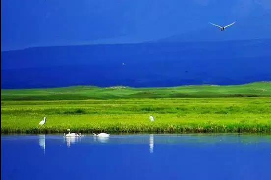 新疆独库公路将于6月5日正式开放通行!中国最美、最险峻的英雄公路,即将涌来大批人马!(图18) 新疆独库公路将于6月5日正式开放通行!中国最美、最险峻的英雄公路,即将涌来大批人马!(图18)