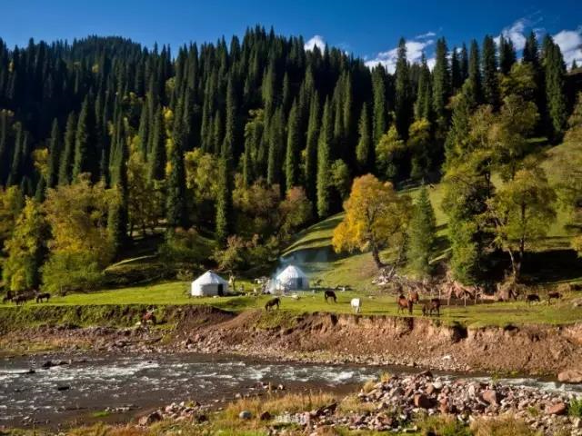 新疆独库公路将于6月5日正式开放通行!中国最美、最险峻的英雄公路,即将涌来大批人马!(图19) 新疆独库公路将于6月5日正式开放通行!中国最美、最险峻的英雄公路,即将涌来大批人马!(图19)