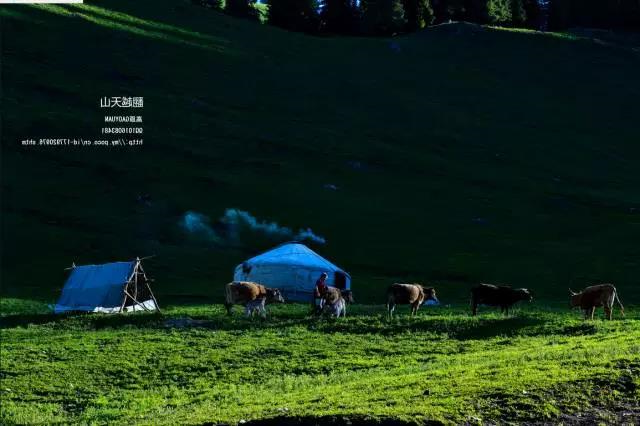 新疆独库公路将于6月5日正式开放通行!中国最美、最险峻的英雄公路,即将涌来大批人马!(图30) 新疆独库公路将于6月5日正式开放通行!中国最美、最险峻的英雄公路,即将涌来大批人马!(图30)