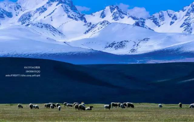 新疆独库公路将于6月5日正式开放通行!中国最美、最险峻的英雄公路,即将涌来大批人马!(图40) 新疆独库公路将于6月5日正式开放通行!中国最美、最险峻的英雄公路,即将涌来大批人马!(图40)