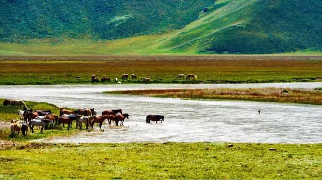 新疆独库公路将于6月5日正式开放通行!中国最美、最险峻的英雄公路,即将涌来大批人马!(图64) 新疆独库公路将于6月5日正式开放通行!中国最美、最险峻的英雄公路,即将涌来大批人马!(图64)