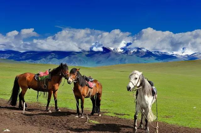 新疆独库公路将于6月5日正式开放通行!中国最美、最险峻的英雄公路,即将涌来大批人马!(图66) 新疆独库公路将于6月5日正式开放通行!中国最美、最险峻的英雄公路,即将涌来大批人马!(图66)