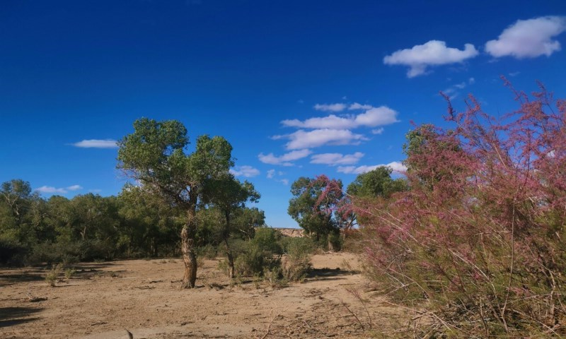 2019克拉玛依中国国际oety欧亿体育
启动报名(图3) 2019克拉玛依中国国际oety欧亿体育
启动报名(图3)