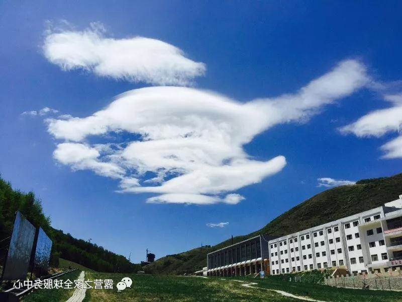 成长部落—向“贝尔”一样拥抱大自然(图18) 成长部落—向“贝尔”一样拥抱大自然(图18)