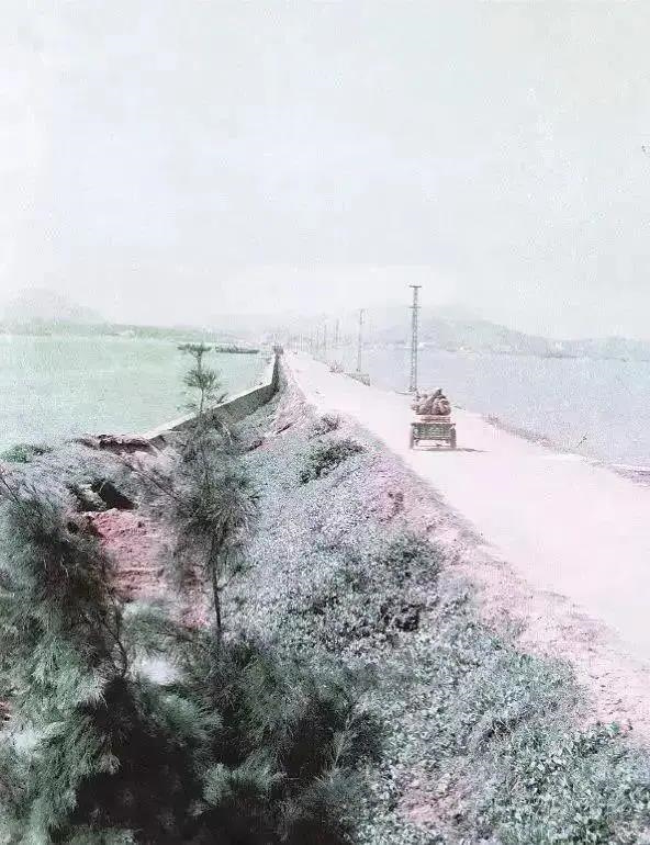 有趣的海岛 | 时光沉淀下的海陵岛28年，造就一座腾飞的岛屿(图6)