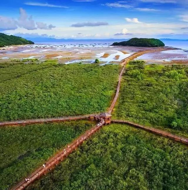 有趣的海岛 | 时光沉淀下的海陵岛28年，造就一座腾飞的岛屿(图15)