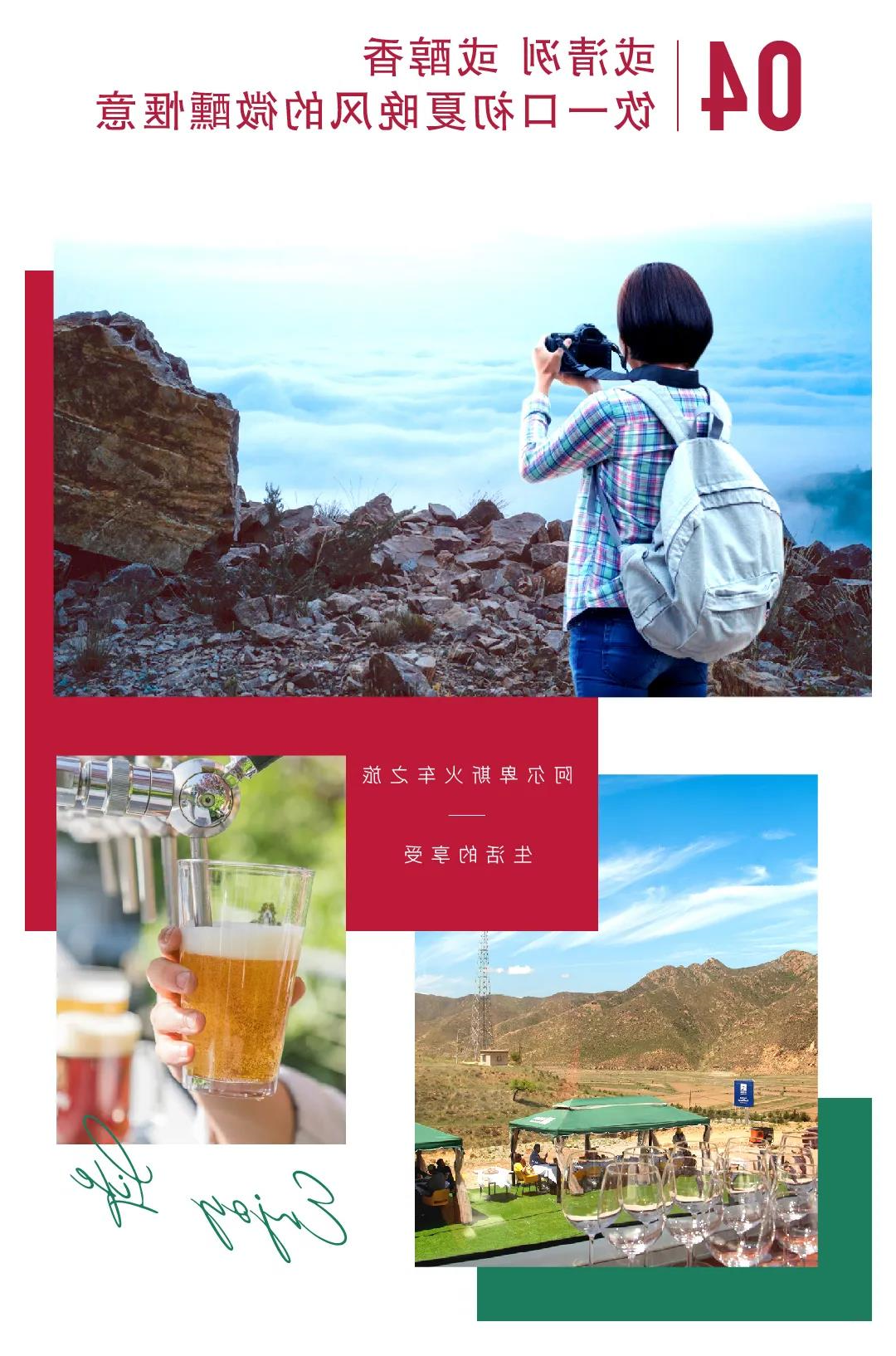 阿尔卑斯火车之旅，走回山野，品味世界(图5)