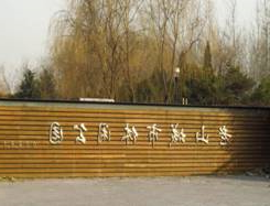 疫情后,露营主题公园会成为下一个“爆款”吗?(图2) image004.jpg