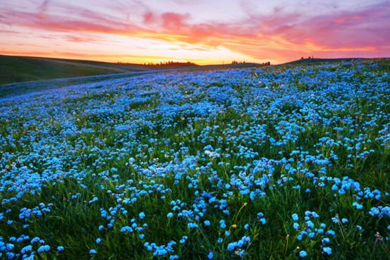 露营之家"小伙伴计划"走起!(图14) image022.jpg