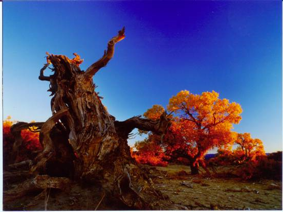 露营之家"小伙伴计划"走起!(图15) image024.jpg