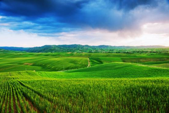 露营之家"小伙伴计划"走起!(图16) image026.jpg