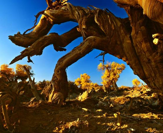 露营让木垒更唯美(图2) image004.jpg