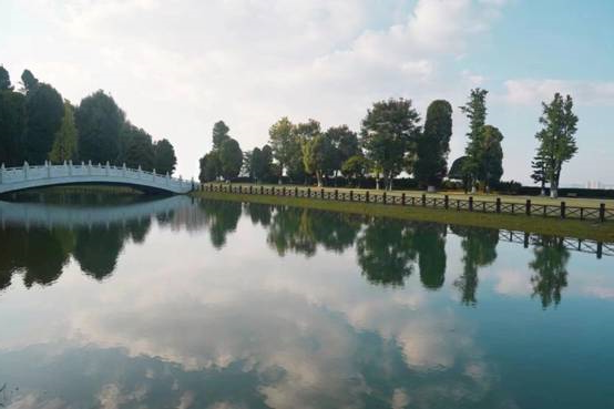 公园允许搭帐篷谁会抄作业(图5) image010.jpg