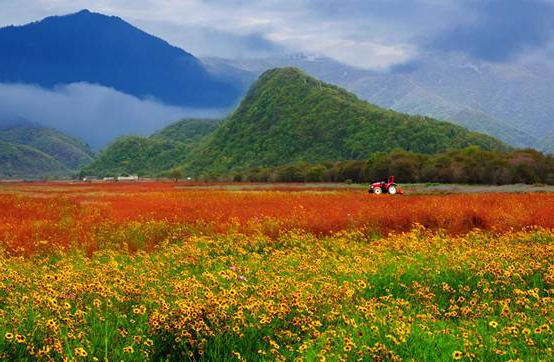 露营之家全球首家露营文化主题酒店----神农架境禾酒店(露营之家京东体验店)即将重磅上线!(图8) image010.jpg