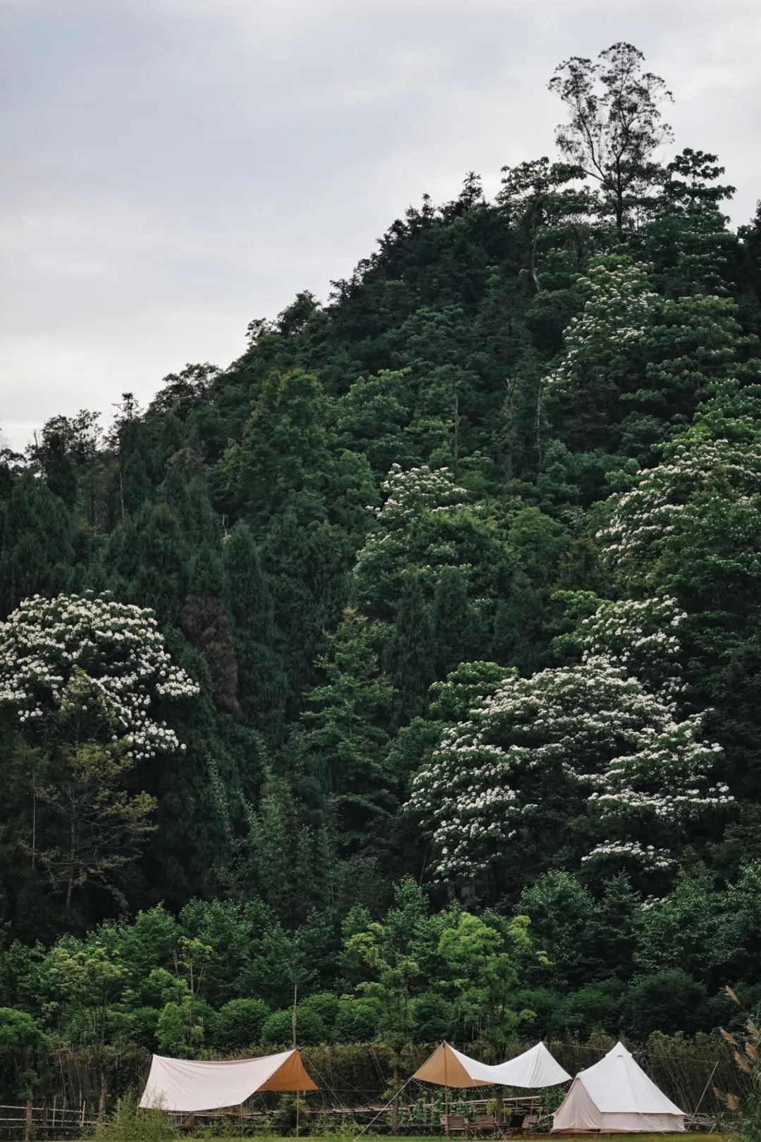 中国国际oety欧亿体育
在找你(图6) 图片