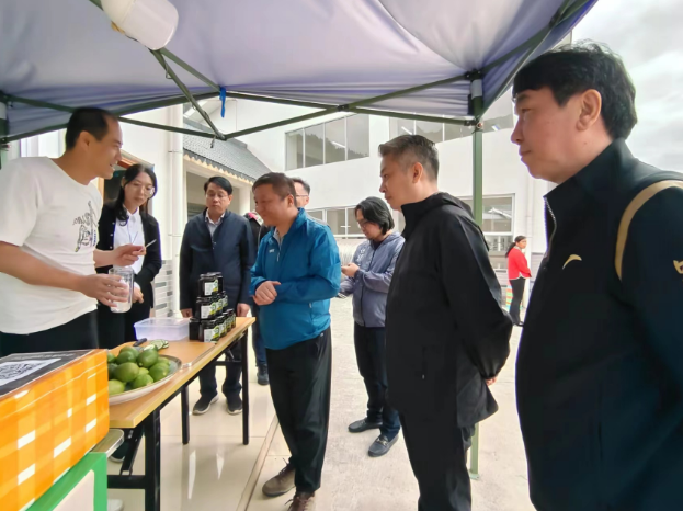 东兰露营产业按下发展“快进键”(图3) 3.png