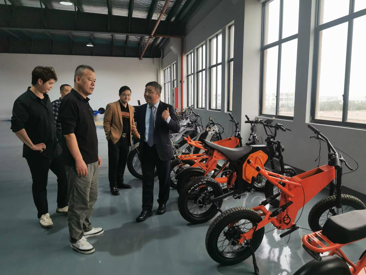 金华洛林森德智能自行车/科技引领个性化出行新风尚(图6)