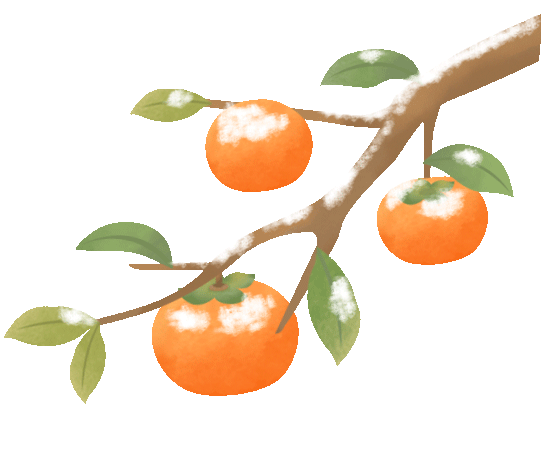 金华山露营热潮：品质户外生活与自然生态共鸣的成果转化(图16)