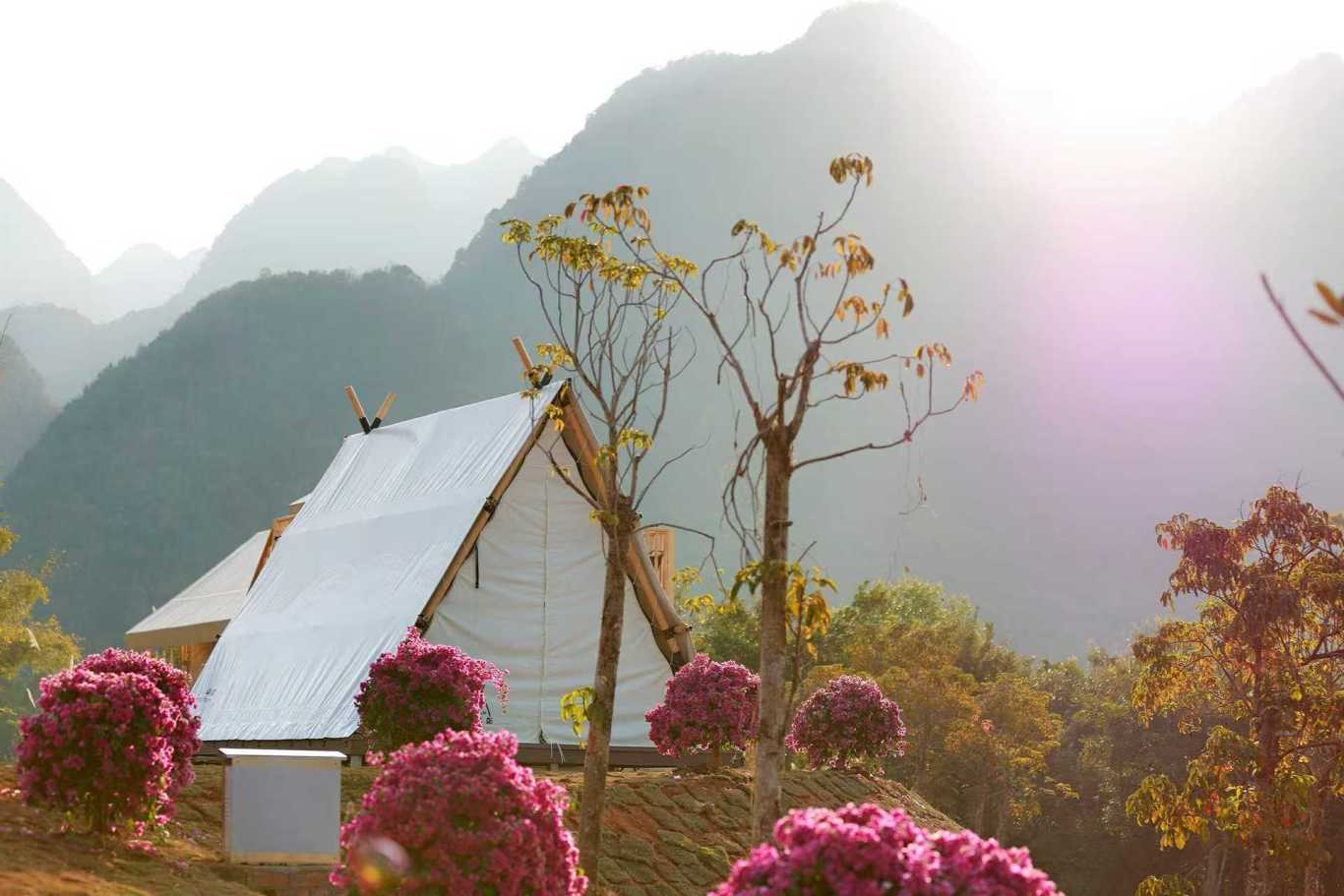 粤桂滇黔露营产业文化交流沙龙在中国·东兰坡豪湖露营地胜利召开(图11) 粤桂滇黔露营产业文化交流沙龙在中国·东兰坡豪湖露营地胜利召开(图11)