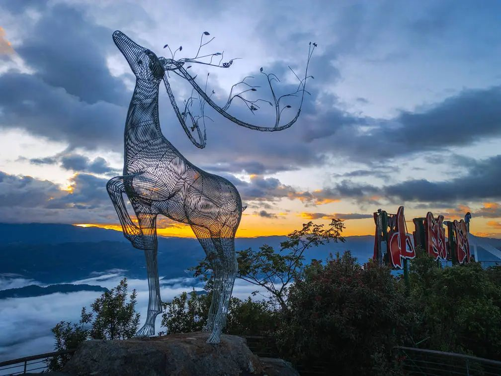 体育赋能经济，露营点亮沧源—— 沧源县委书记唐兴平到访露营之家北京总部(图5)