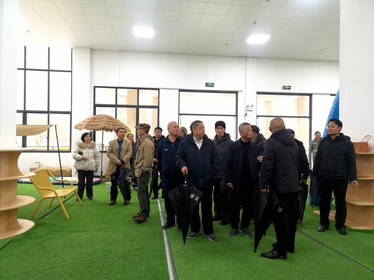 东兰县退休老干部考察调研坡豪湖露营地：见证生态与产业融合新篇章(图2)