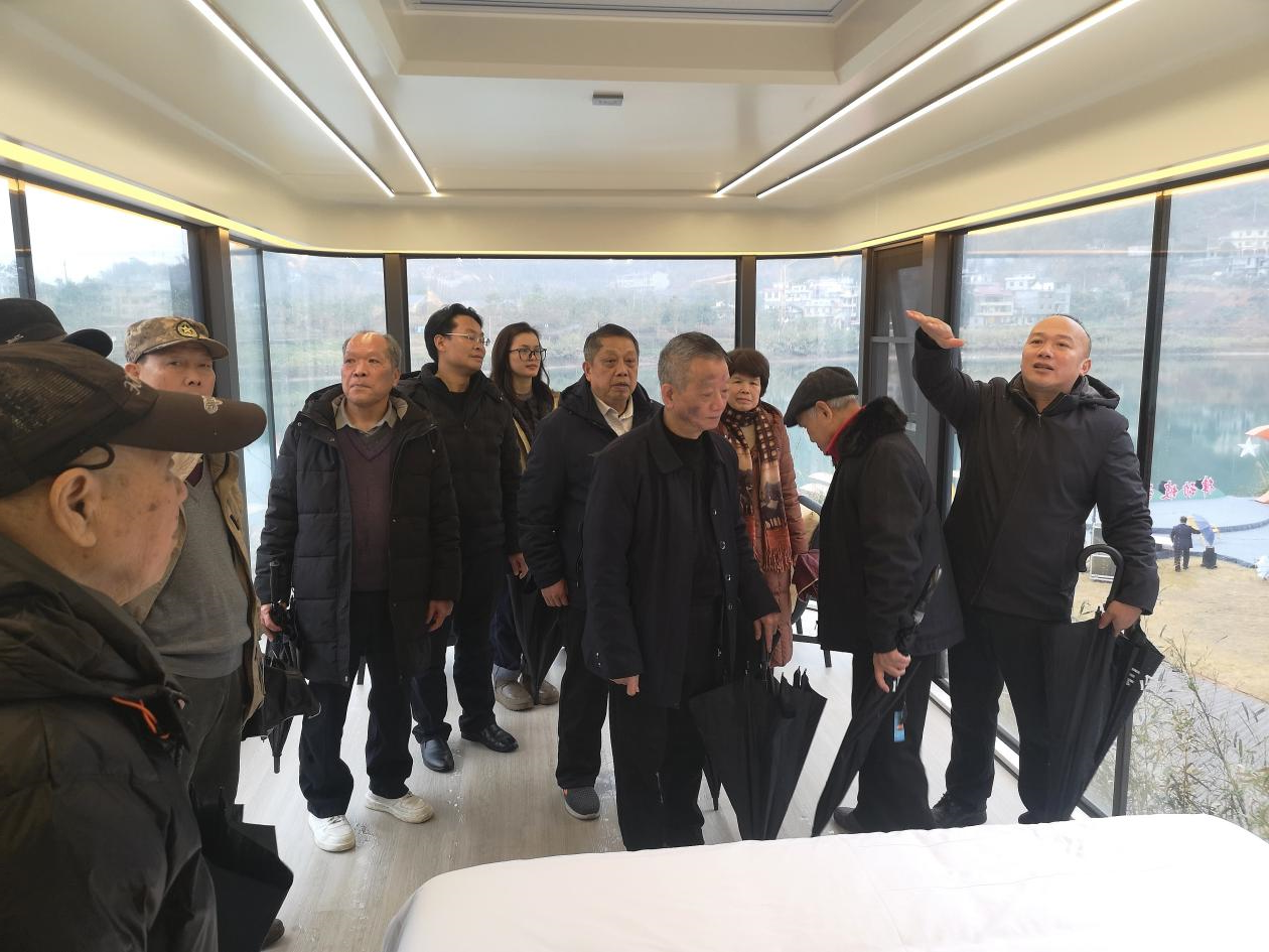 东兰县退休老干部考察调研坡豪湖露营地：见证生态与产业融合新篇章(图6)