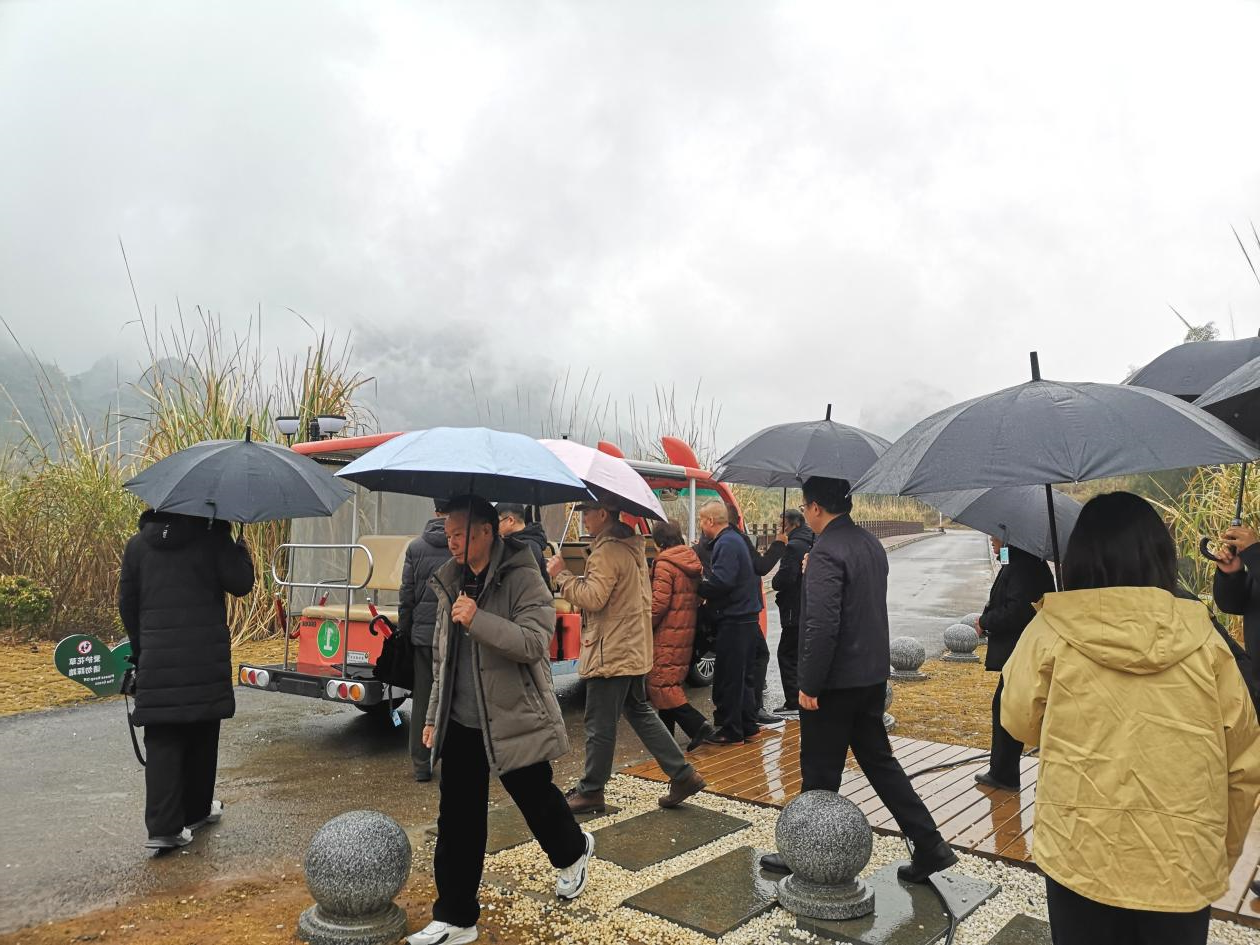 东兰县退休老干部考察调研坡豪湖露营地：见证生态与产业融合新篇章(图8)