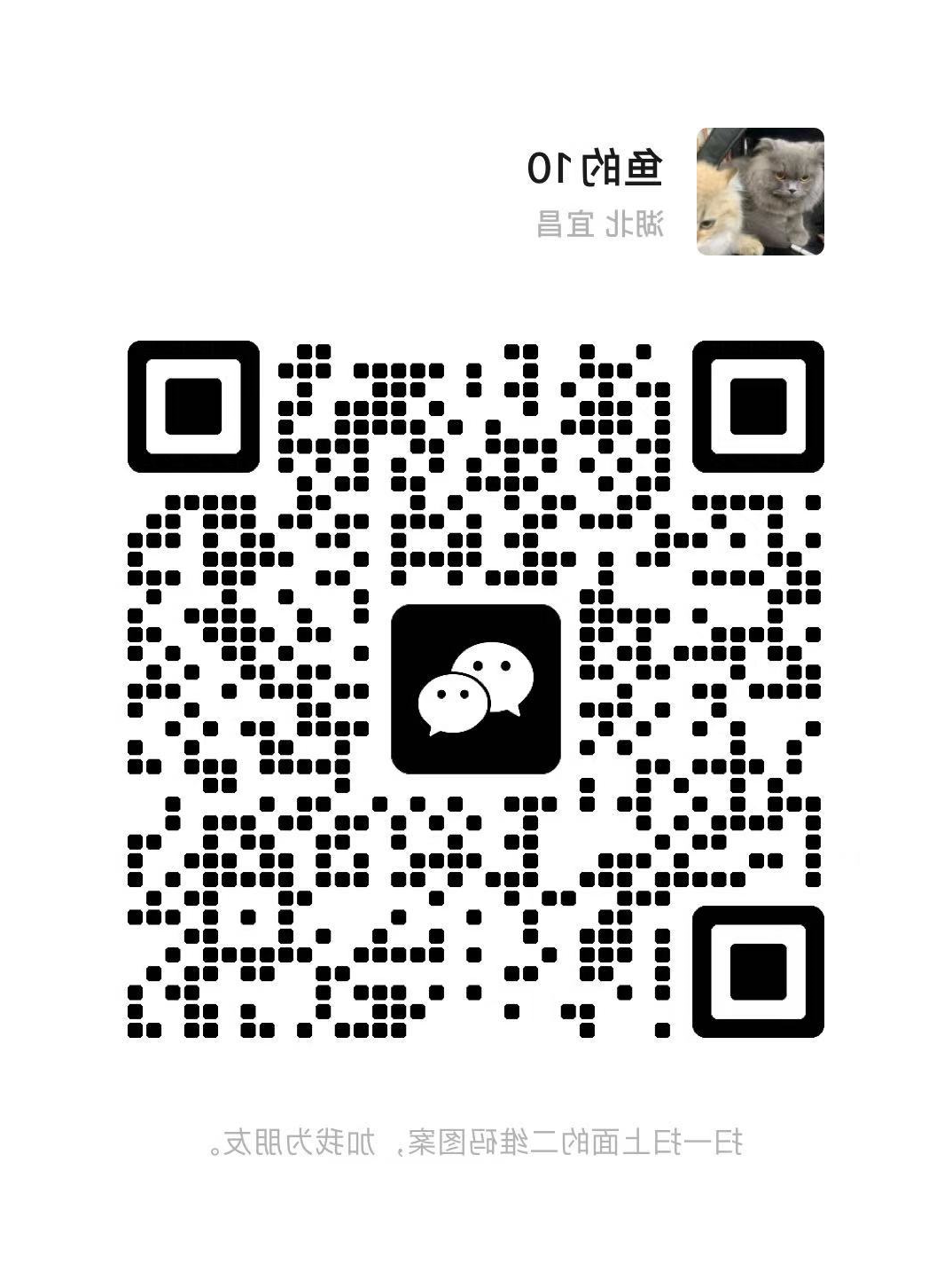 【坡豪湖12小时脱单计划】解锁你的心动盲盒！玩转交友/露营/夜跑/音浪趴 遇见命中注定的TA！(图22)