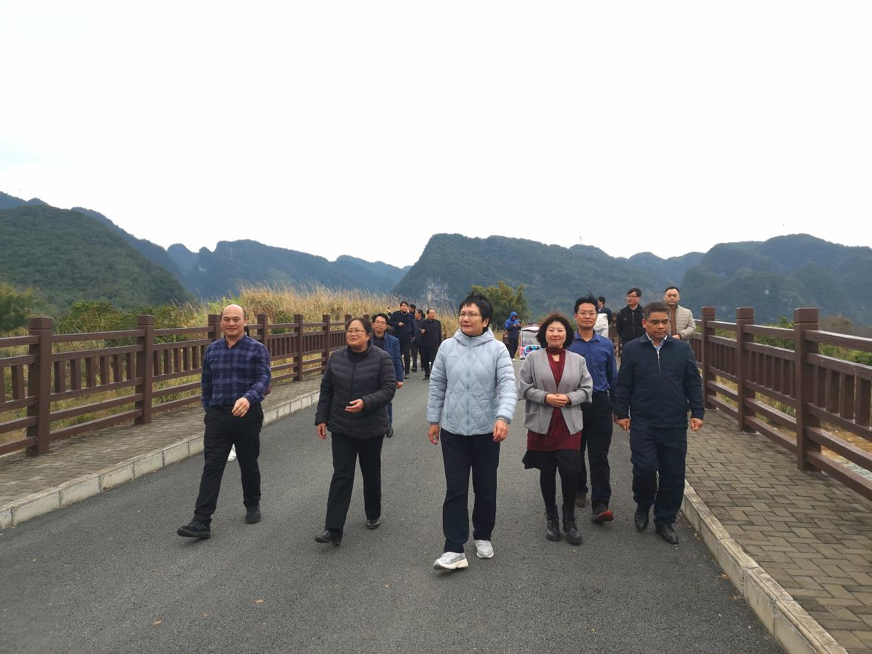 河北省政协副主席常丽虹率队考察广西东兰坡豪湖国家湿地公园：以康养产业助推“红色东兰，绿色崛起”(图2)