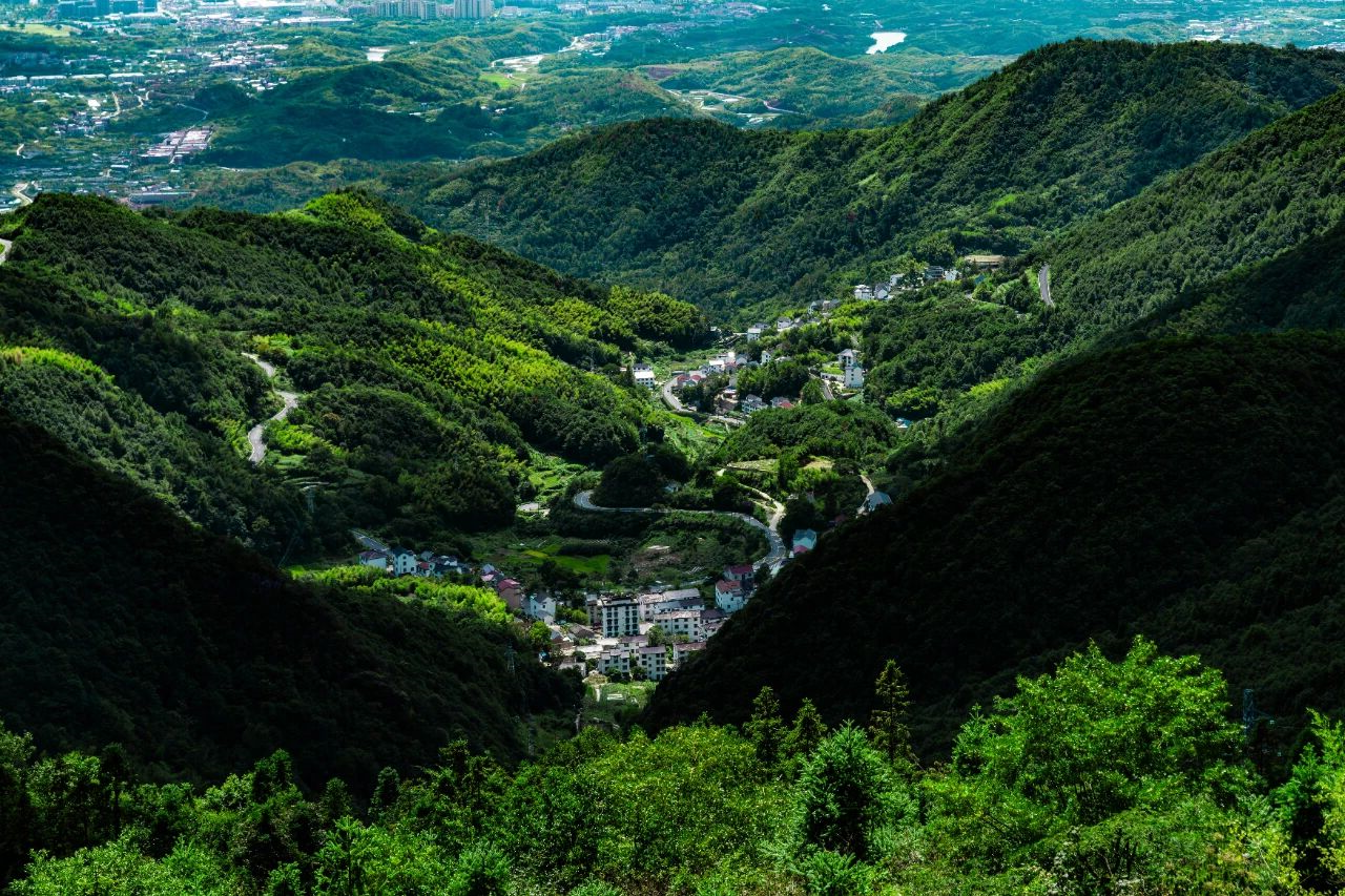 百色市人民政府一行莅临露营之家供应链贸易中心—— 共商服务产业落地及场景化应用(图2) 41.jpg